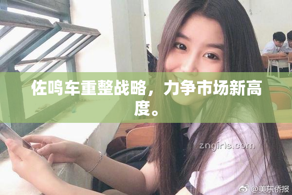 佐鸣车重整战略，力争市场新高度。