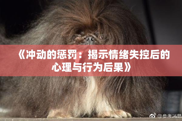 《冲动的惩罚：揭示情绪失控后的心理与行为后果》