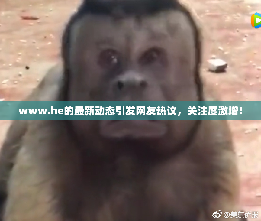 www.he的最新动态引发网友热议，关注度激增！