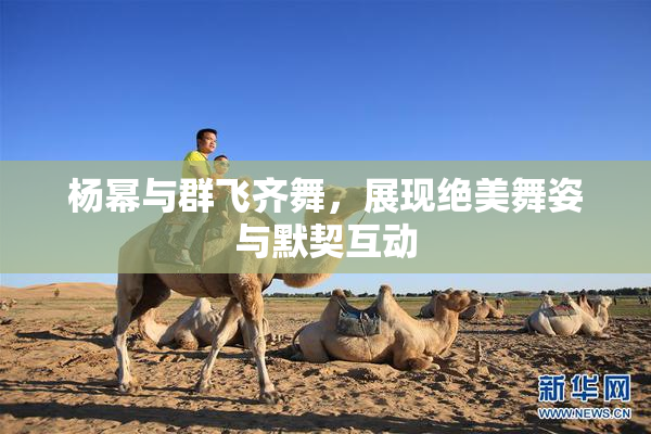 杨幂与群飞齐舞，展现绝美舞姿与默契互动