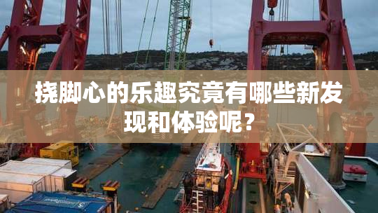 挠脚心的乐趣究竟有哪些新发现和体验呢？