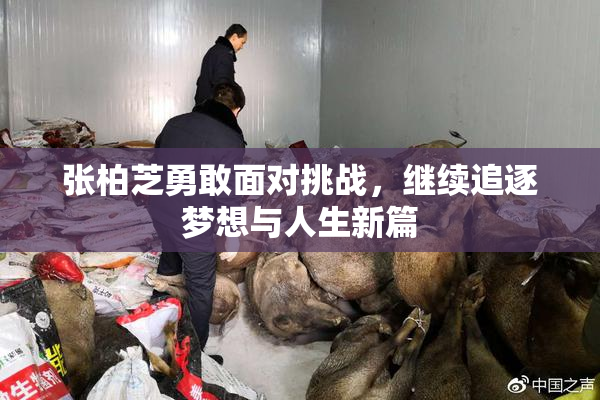 张柏芝勇敢面对挑战，继续追逐梦想与人生新篇