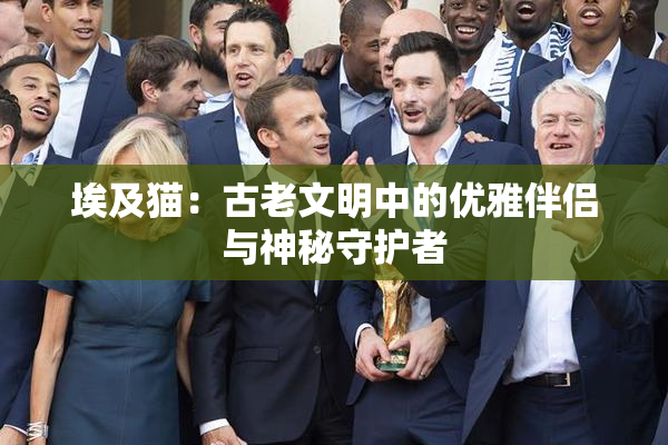 埃及猫：古老文明中的优雅伴侣与神秘守护者