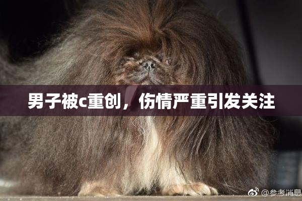 男子被c重创，伤情严重引发关注