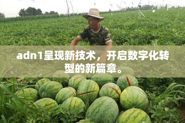adn1呈现新技术，开启数字化转型的新篇章。