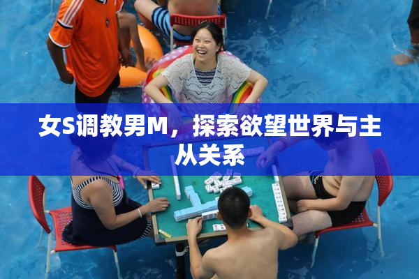 女S调教男M，探索欲望世界与主从关系