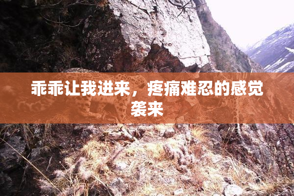 乖乖让我进来，疼痛难忍的感觉袭来