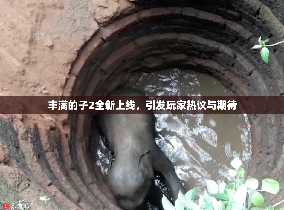 丰满的子2全新上线，引发玩家热议与期待