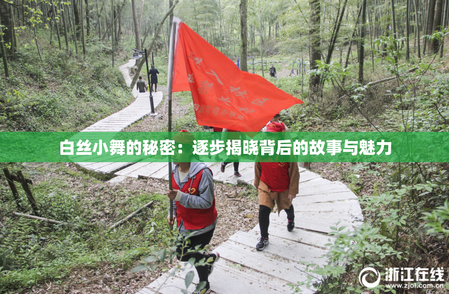 白丝小舞的秘密：逐步揭晓背后的故事与魅力