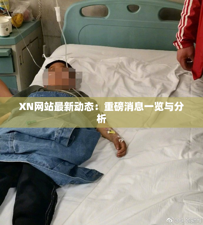 XN网站最新动态：重磅消息一览与分析