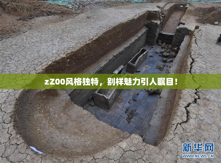 zZ00风格独特，别样魅力引人瞩目！