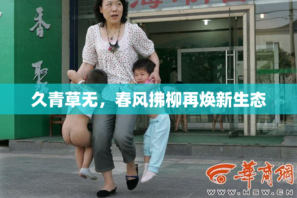 久青草无，春风拂柳再焕新生态