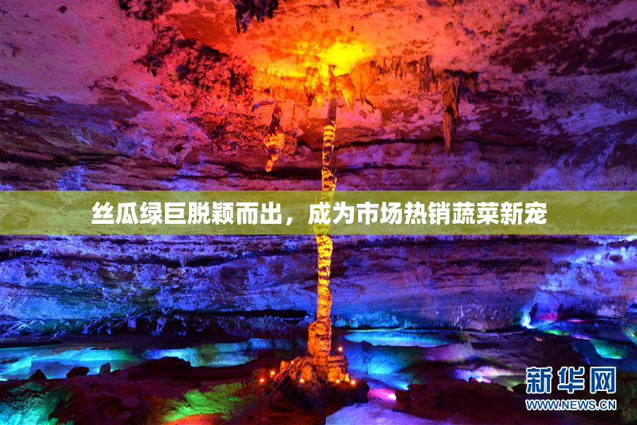丝瓜绿巨脱颖而出，成为市场热销蔬菜新宠