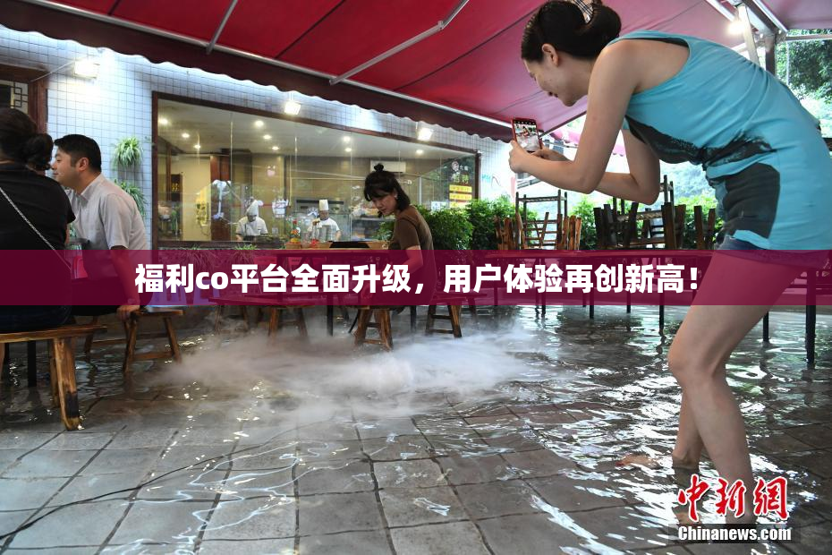 福利co平台全面升级，用户体验再创新高！