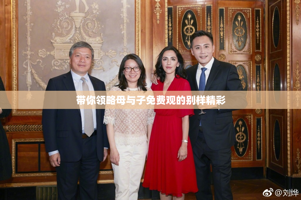 带你领略母与子免费观的别样精彩