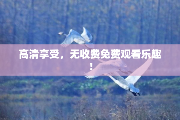 高清享受，无收费免费观看乐趣！