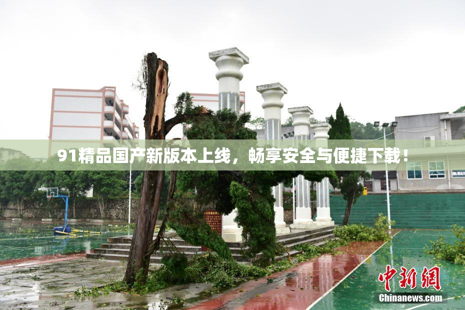 91精品国产新版本上线，畅享安全与便捷下载！