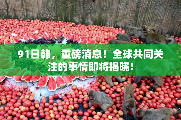 91日韩，重磅消息！全球共同关注的事情即将揭晓！