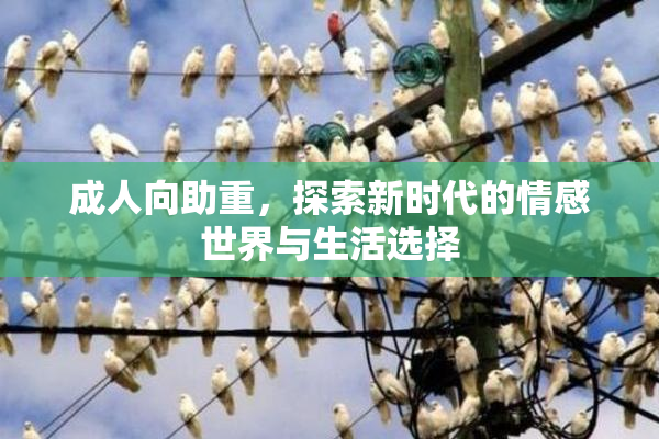 成人向助重，探索新时代的情感世界与生活选择