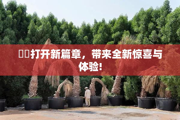 妺妺打开新篇章，带来全新惊喜与体验!