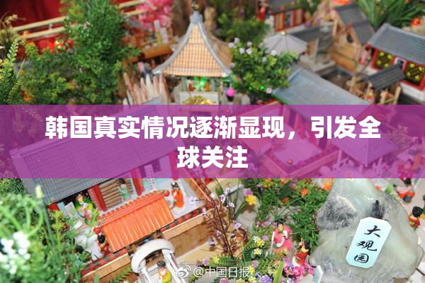 韩国真实情况逐渐显现，引发全球关注