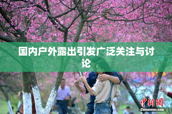 国内户外露出引发广泛关注与讨论