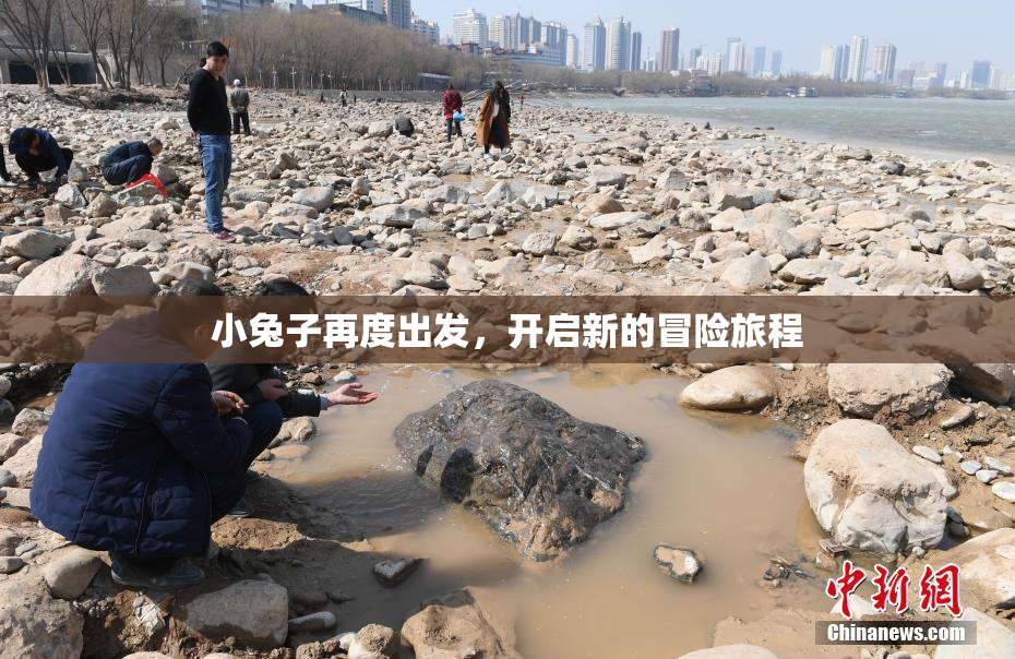 小兔子再度出发，开启新的冒险旅程