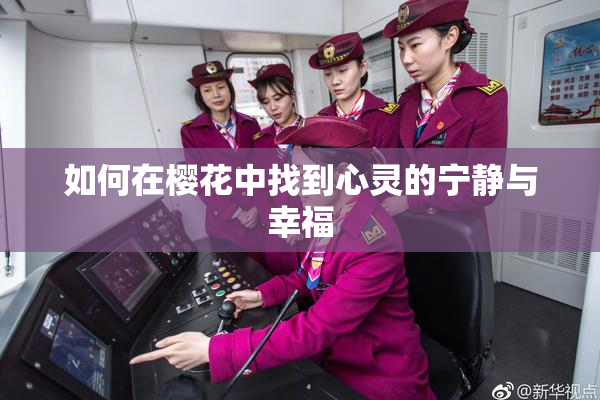 如何在樱花中找到心灵的宁静与幸福