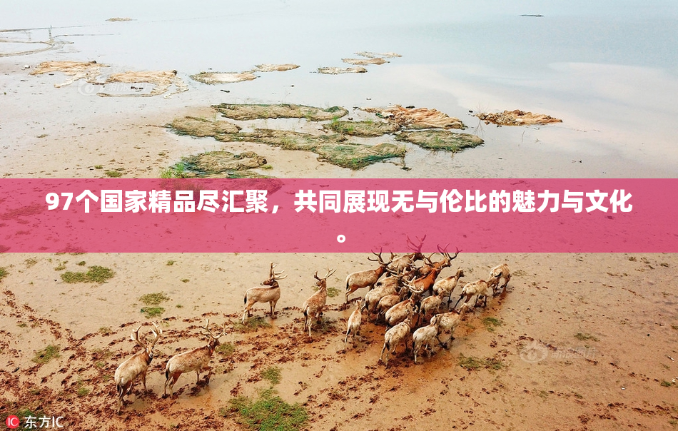 97个国家精品尽汇聚，共同展现无与伦比的魅力与文化。