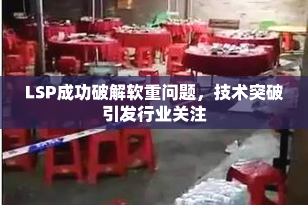 LSP成功破解软重问题，技术突破引发行业关注
