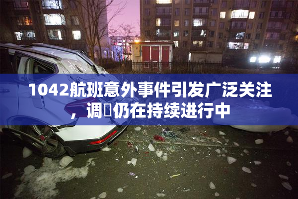 1042航班意外事件引发广泛关注，调査仍在持续进行中