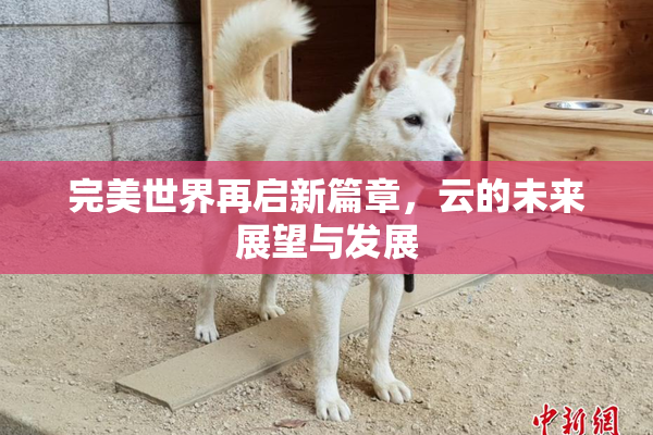 完美世界再启新篇章，云的未来展望与发展