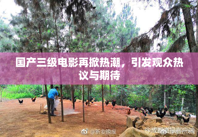国产三级电影再掀热潮，引发观众热议与期待
