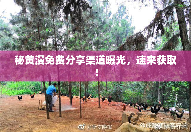 秘黄漫免费分享渠道曝光，速来获取！