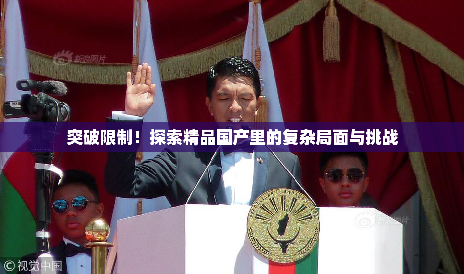 突破限制！探索精品国产里的复杂局面与挑战
