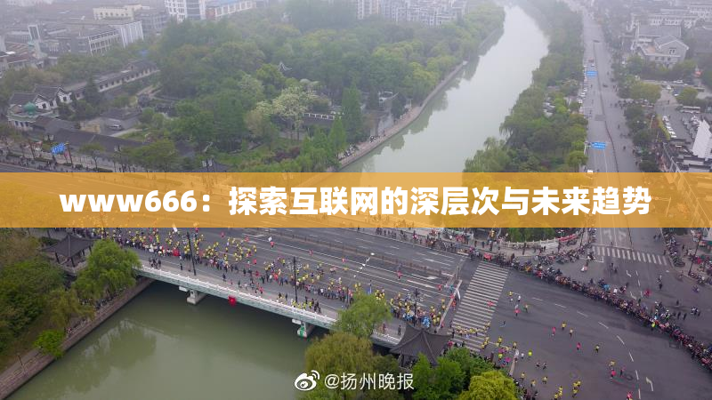 www666：探索互联网的深层次与未来趋势