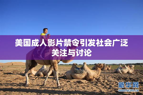 美国成人影片禁令引发社会广泛关注与讨论