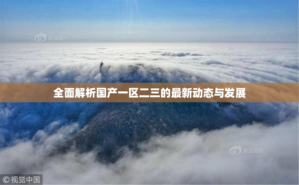 全面解析国产一区二三的最新动态与发展