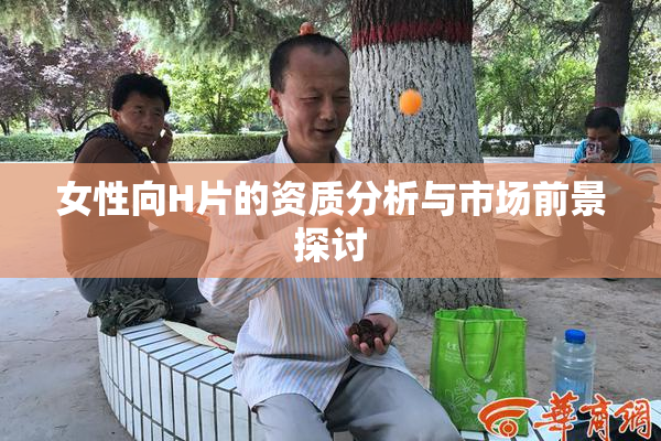 女性向H片的资质分析与市场前景探讨