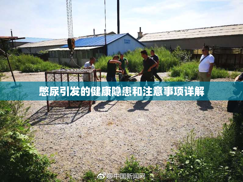 憋尿引发的健康隐患和注意事项详解