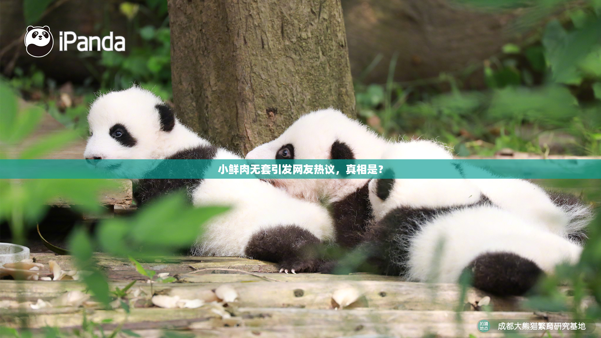 小鲜肉无套引发网友热议，真相是？