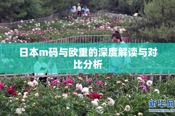 日本m码与欧重的深度解读与对比分析