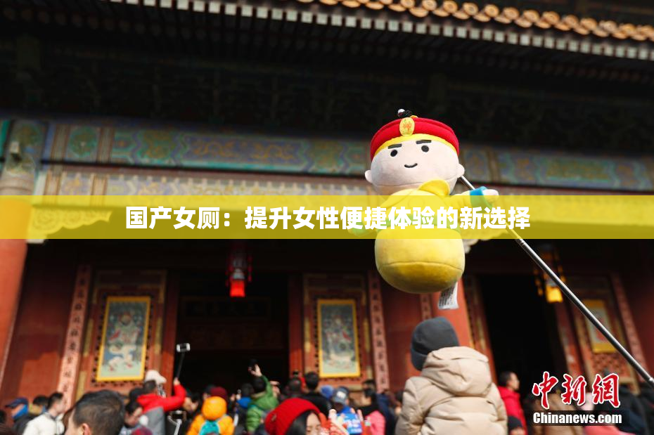国产女厕：提升女性便捷体验的新选择