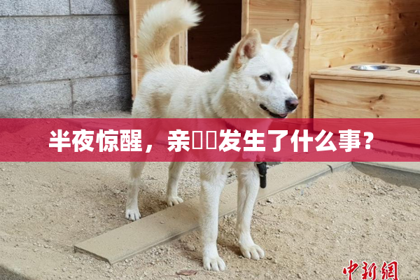 半夜惊醒，亲妺妺发生了什么事？