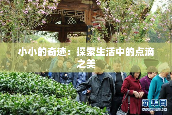小小的奇迹：探索生活中的点滴之美