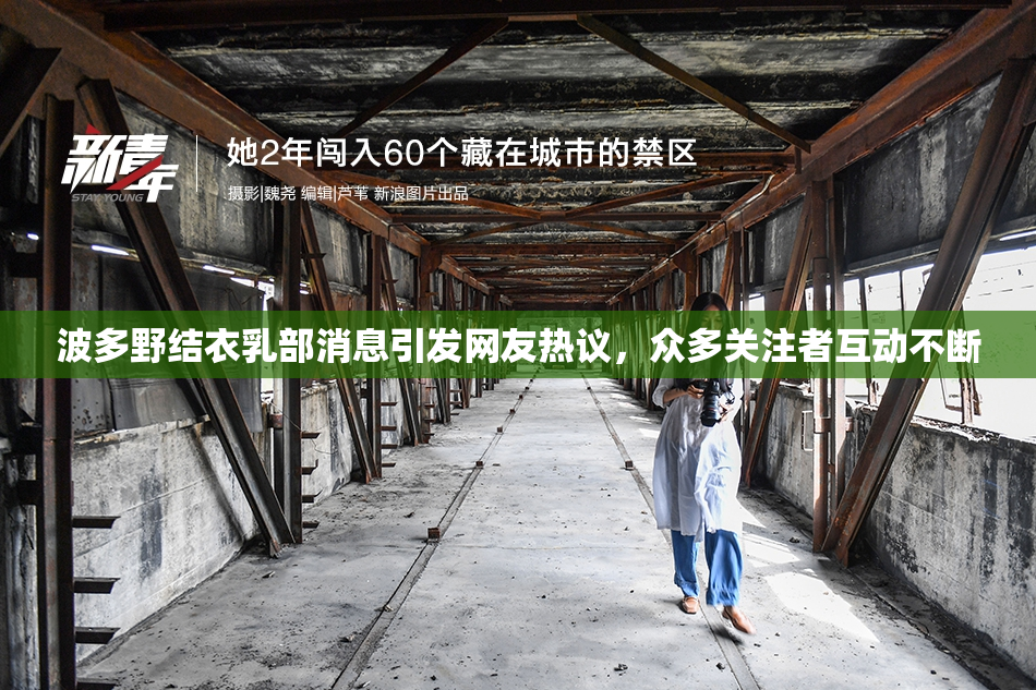 波多野结衣乳部消息引发网友热议，众多关注者互动不断