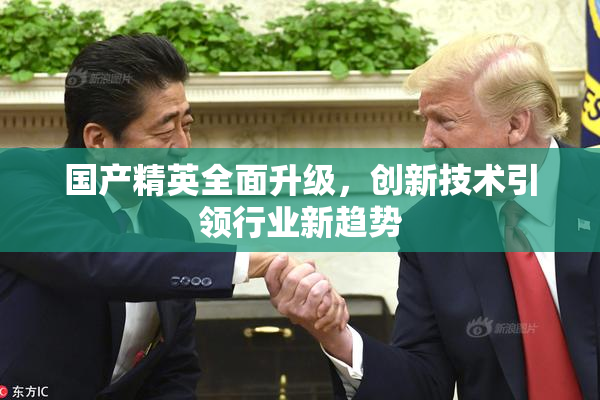 国产精英全面升级，创新技术引领行业新趋势