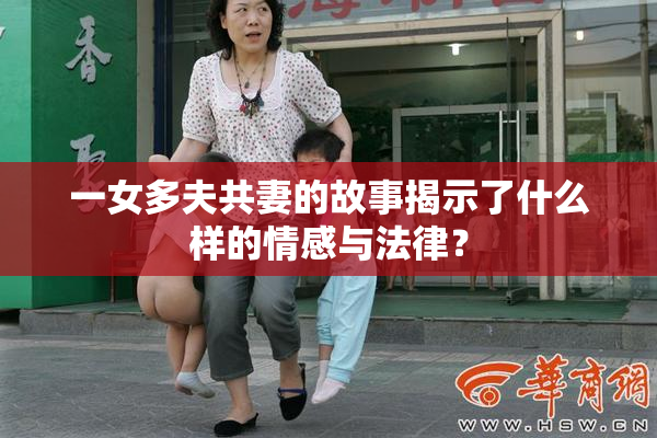 一女多夫共妻的故事揭示了什么样的情感与法律？