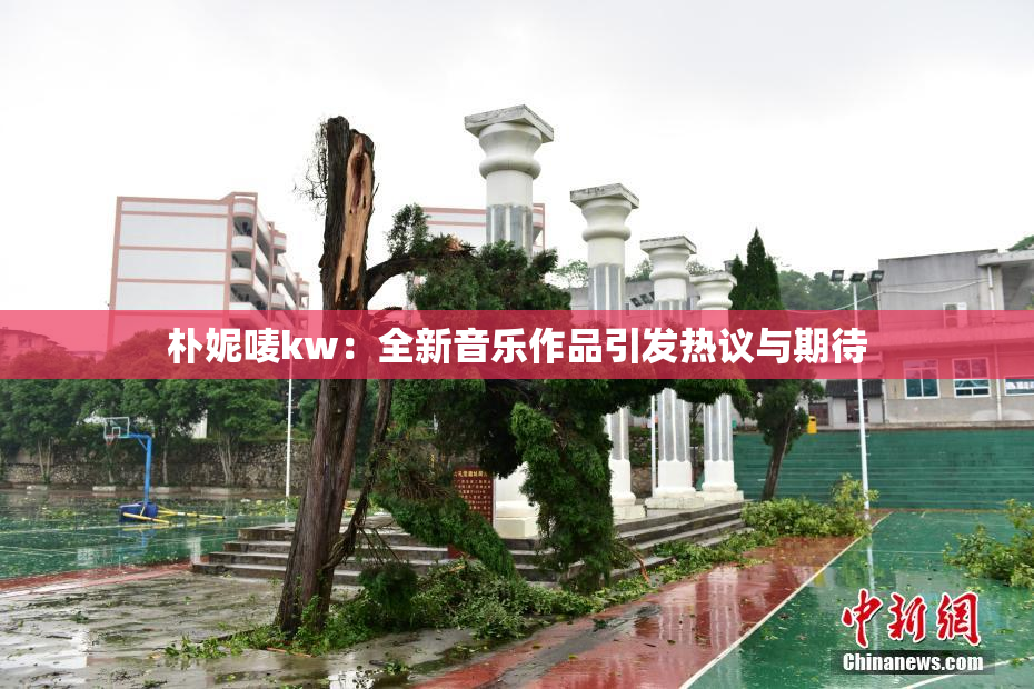 朴妮唛kw：全新音乐作品引发热议与期待