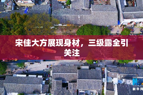 宋佳大方展现身材，三级露全引关注